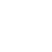 Government Icon